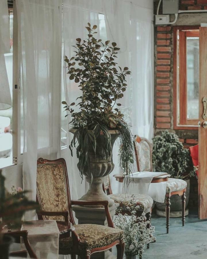 بيت شباب سمارت شيانغ ماي المظهر الخارجي الصورة